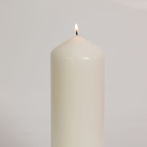 6 Pack 7.5x22.5cm Wedding Clover Leaf Candles